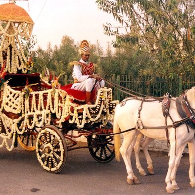 wedding-horse-baggi=in-bhubaneswar